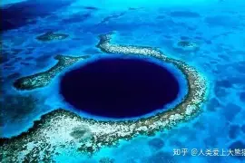 Ming斩获1冠结果意外(中国跳水失误痛失金牌最新消息) Ming斩获1冠结果意外(中国跳水失误痛失金牌最新消息)